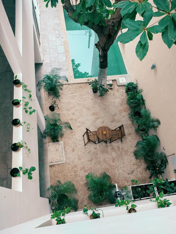 Cozy Studios Zazil-Ha Πλάγια Ντελ Κάρμεν Εξωτερικό φωτογραφία